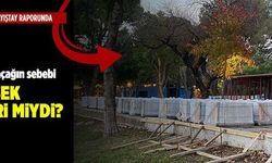 Karaalioğlu Parkı, Sayıştay raporunda... Sit alanındaki kaçağın sebebi yüksek kira geliri miydi?